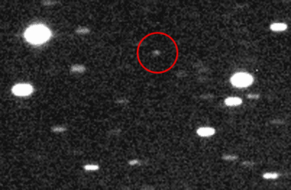 Asteroid Near Earth Discovered by Amateur Astronomers